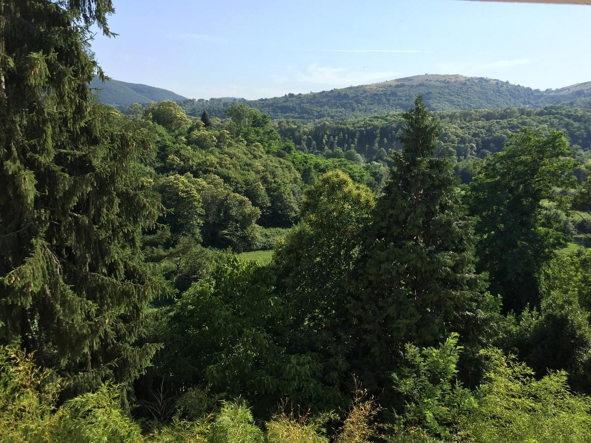 Hotel Ludovici Fiuggi Buitenkant foto